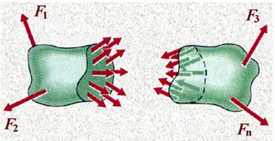 1772421605968182.jpg 图片7.jpg